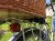 IMG_6250.jpeg