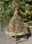 IMG_6401.jpeg