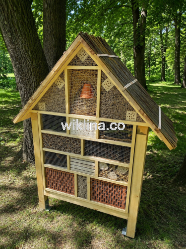 ChatGPT Image 5 cze 2026 o 17_34_54.png