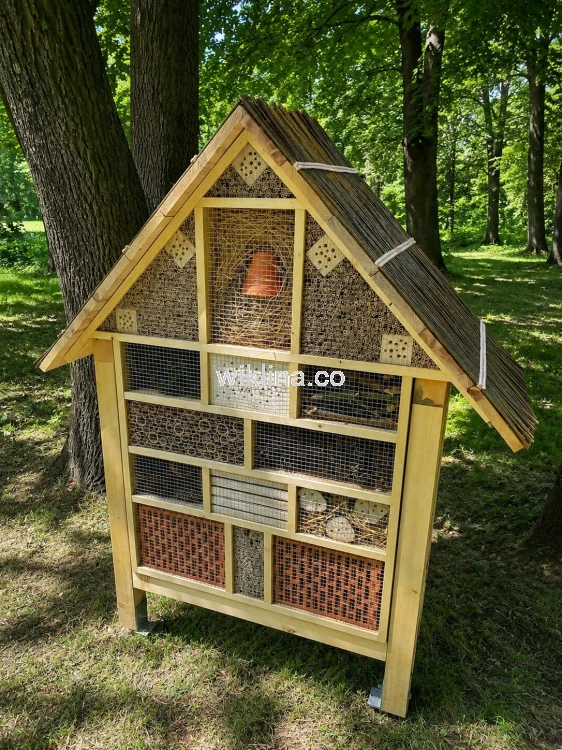ChatGPT Image 5 cze 2026 o 17_34_54.png